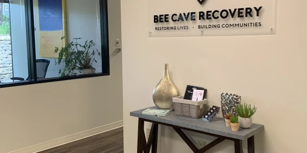 Bee Cave Recovery